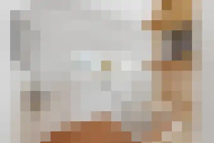 Karper 4 Alblasserdam thumbnail 52