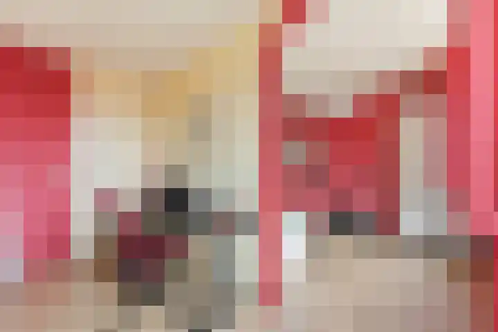Karper 4 Alblasserdam thumbnail 54