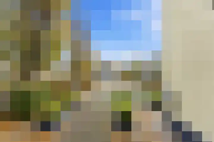 Karper 4 Alblasserdam thumbnail 58