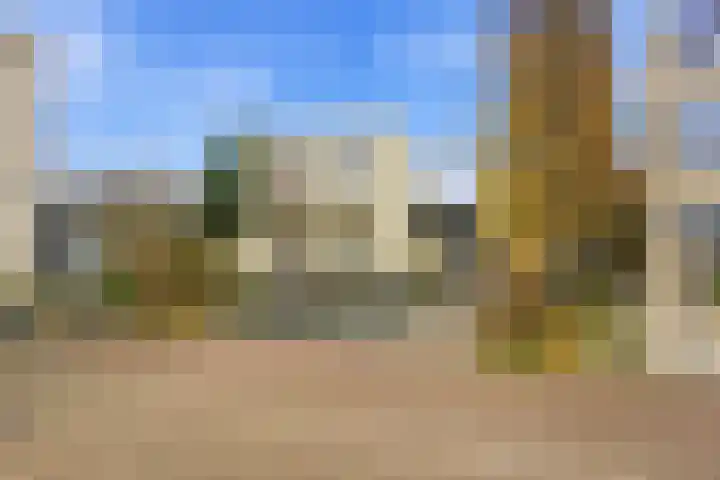 Karper 4 Alblasserdam thumbnail 59