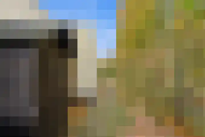 Karper 4 Alblasserdam thumbnail 61
