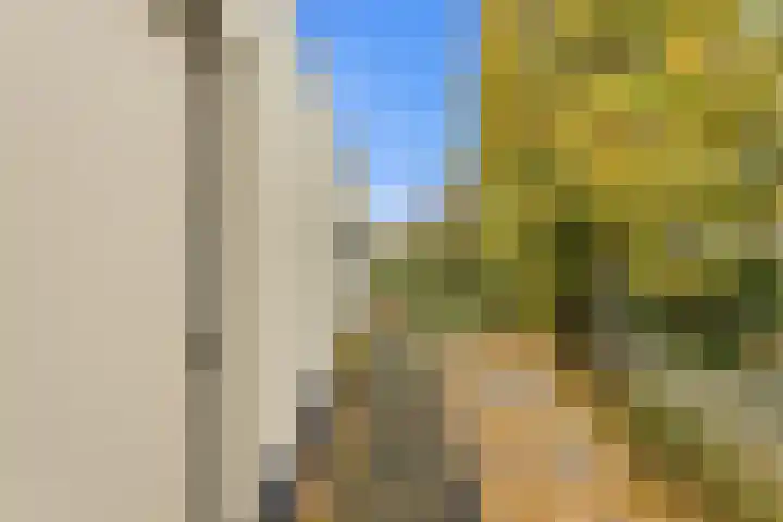Karper 4 Alblasserdam thumbnail 62
