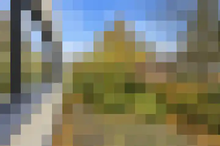 Karper 4 Alblasserdam thumbnail 63