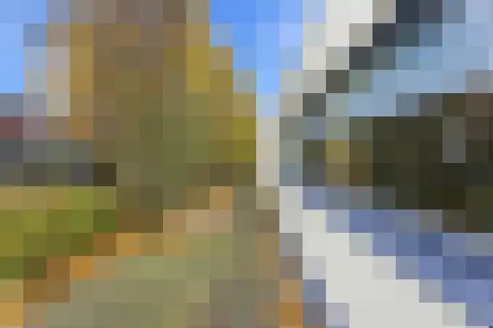 Karper 4 Alblasserdam thumbnail 64
