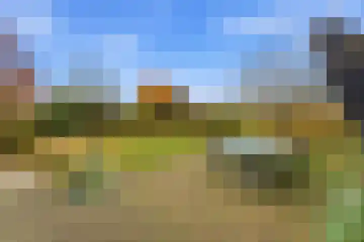 Karper 4 Alblasserdam thumbnail 65