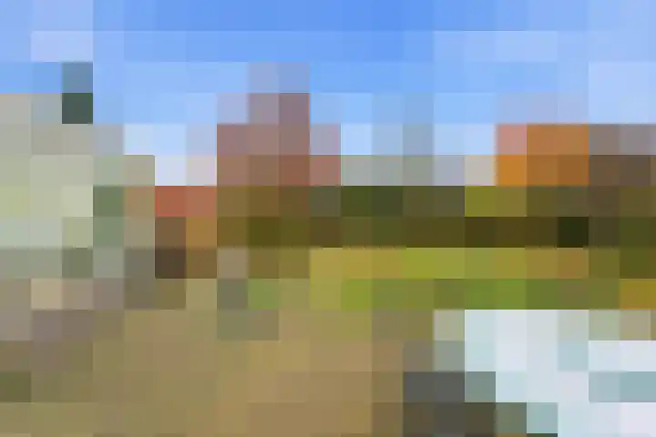 Karper 4 Alblasserdam thumbnail 66