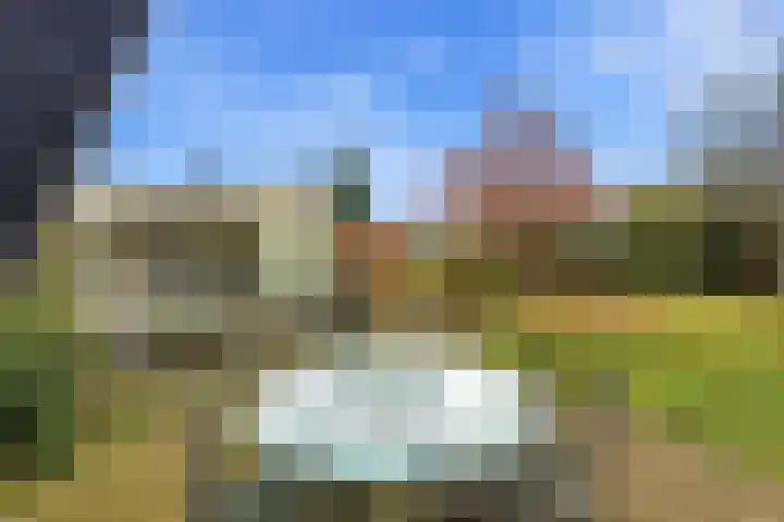 Karper 4 Alblasserdam thumbnail 67
