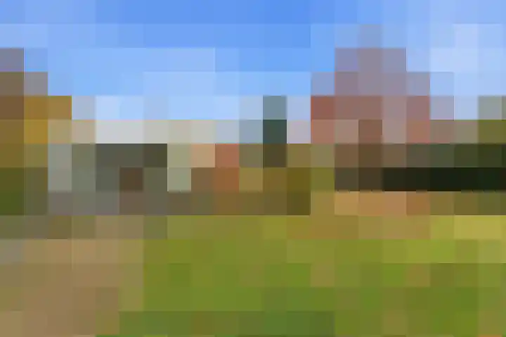 Karper 4 Alblasserdam thumbnail 68