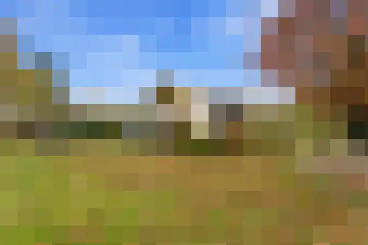 Karper 4 Alblasserdam thumbnail 69