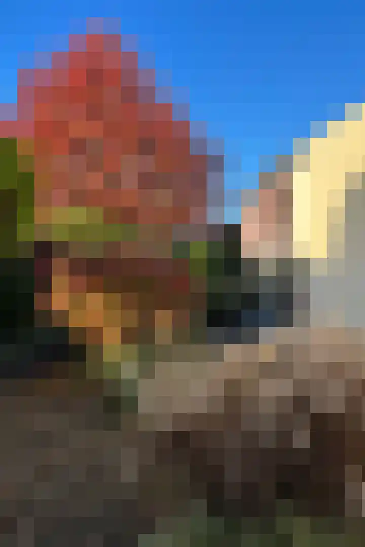 Karper 4 Alblasserdam thumbnail 7