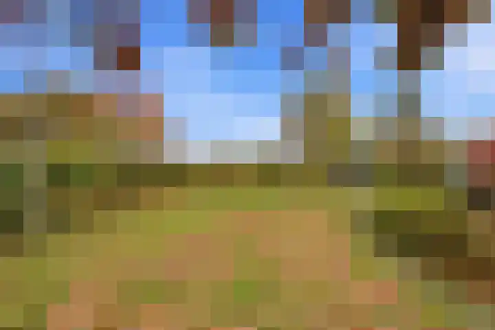 Karper 4 Alblasserdam thumbnail 70
