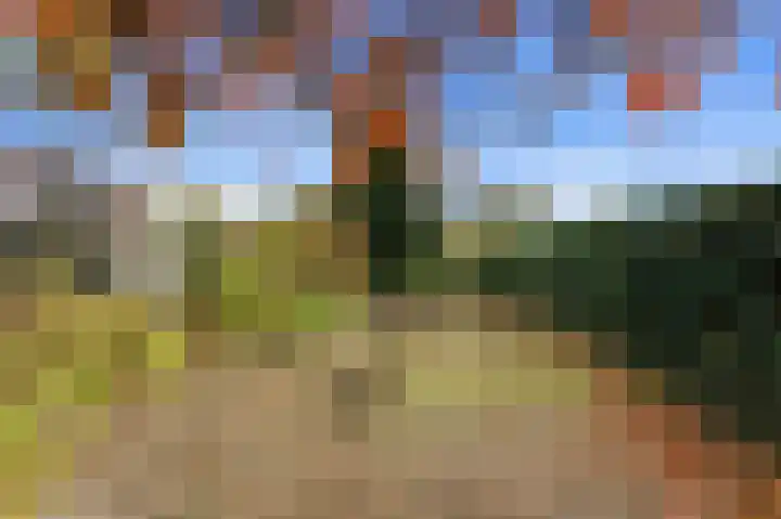 Karper 4 Alblasserdam thumbnail 71