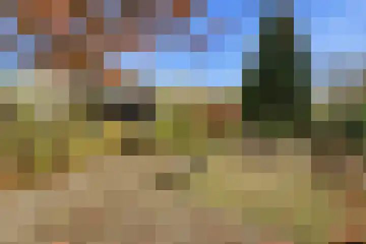 Karper 4 Alblasserdam thumbnail 72