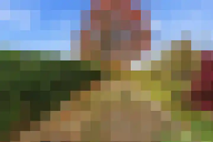 Karper 4 Alblasserdam thumbnail 73