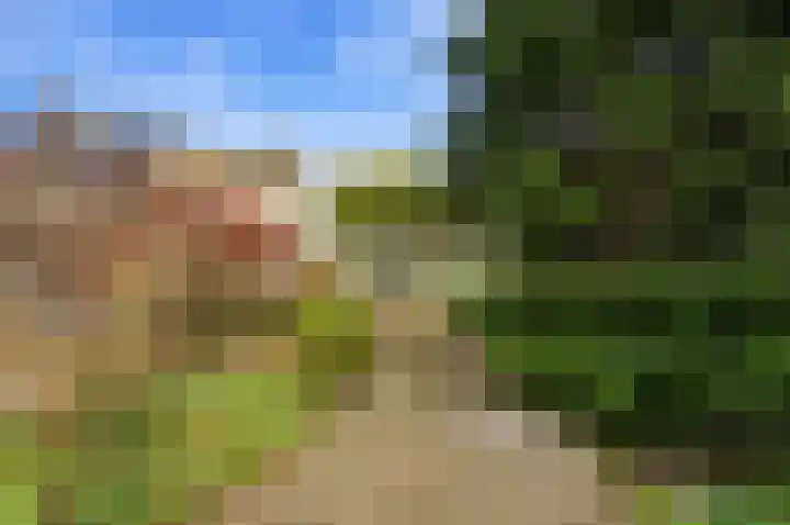Karper 4 Alblasserdam thumbnail 74