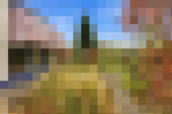 Karper 4 Alblasserdam thumbnail 76