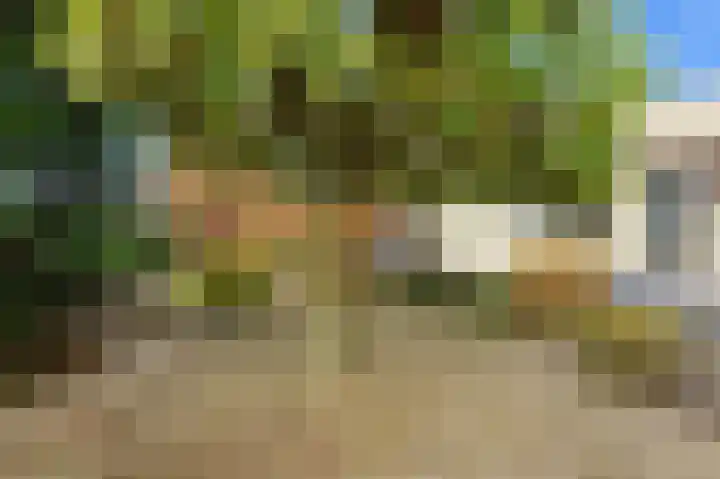 Karper 4 Alblasserdam thumbnail 77