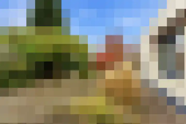 Karper 4 Alblasserdam thumbnail 78