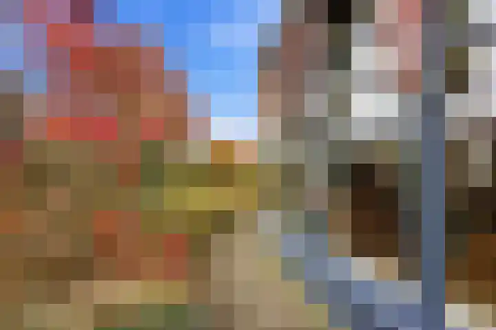 Karper 4 Alblasserdam thumbnail 79