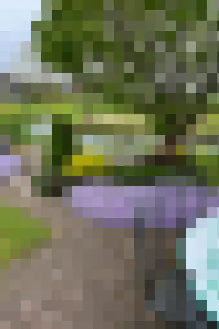 Karper 4 Alblasserdam thumbnail 8