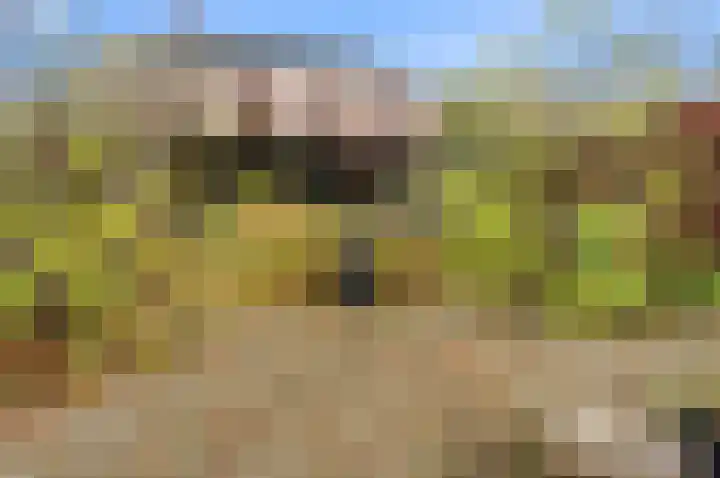 Karper 4 Alblasserdam thumbnail 80