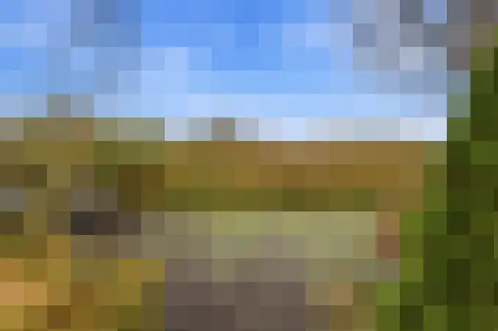 Karper 4 Alblasserdam thumbnail 81