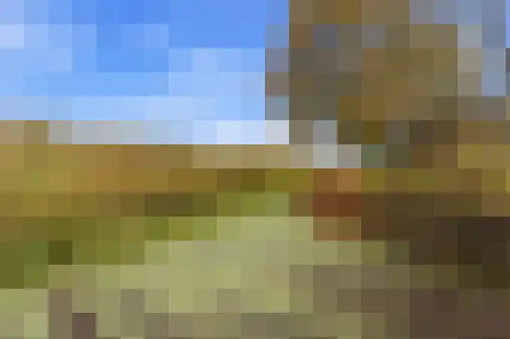 Karper 4 Alblasserdam thumbnail 82