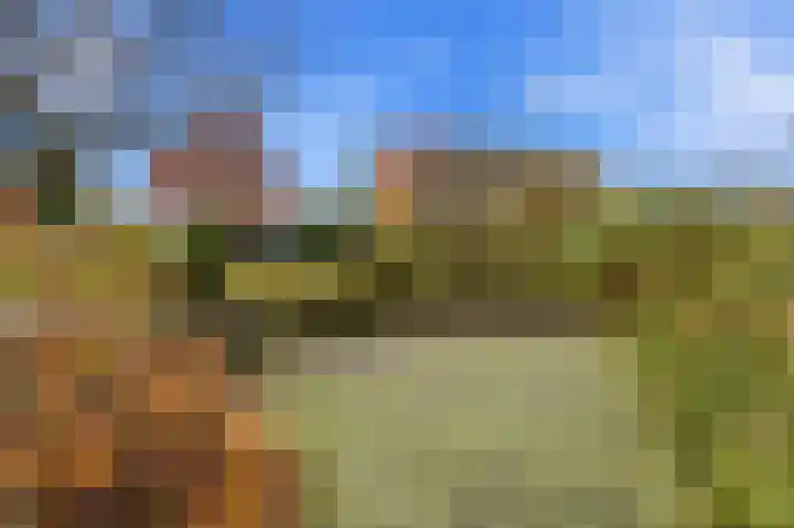 Karper 4 Alblasserdam thumbnail 83