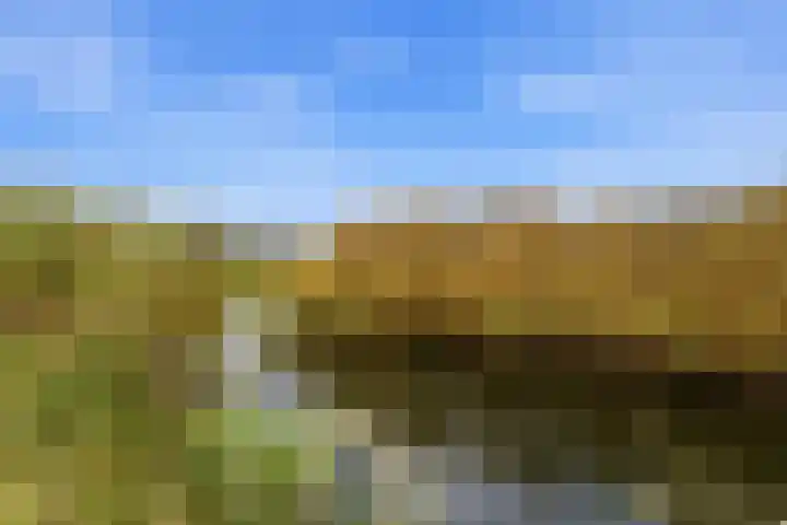 Karper 4 Alblasserdam thumbnail 84
