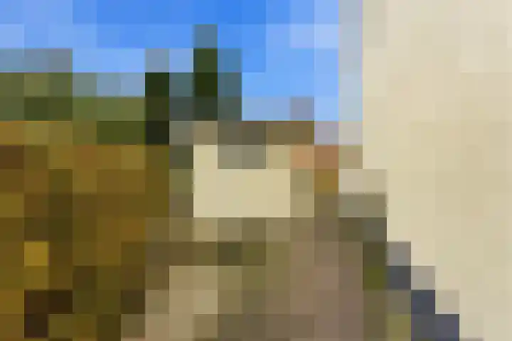 Karper 4 Alblasserdam thumbnail 85