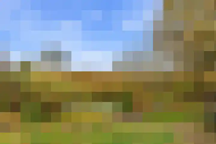 Karper 4 Alblasserdam thumbnail 86