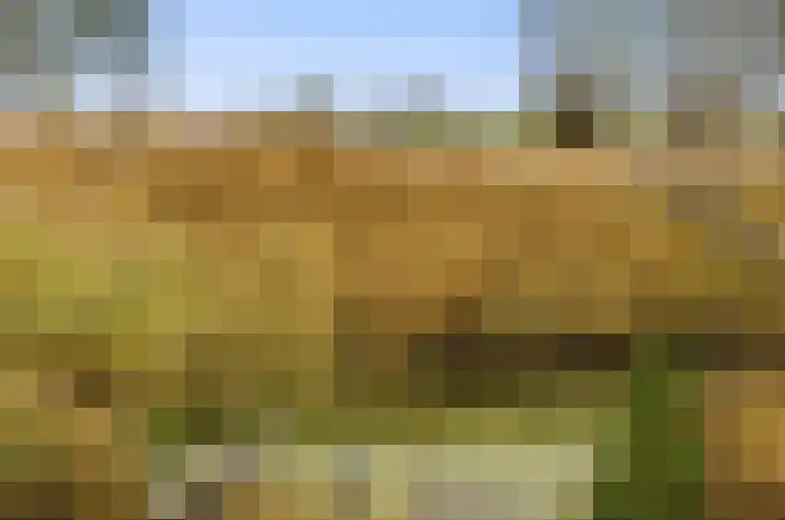Karper 4 Alblasserdam thumbnail 87