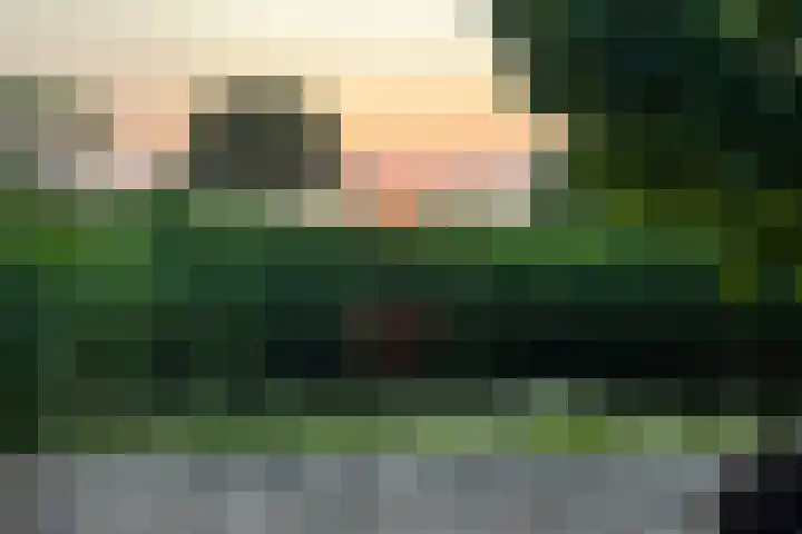 Karper 4 Alblasserdam thumbnail 9