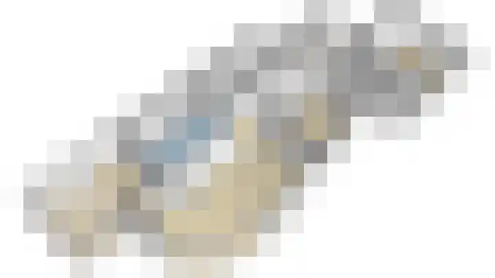 Karper 4 Alblasserdam thumbnail 91