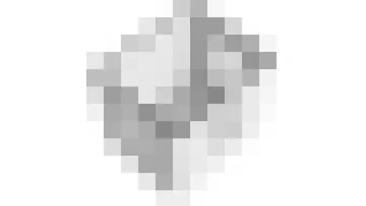 Karper 4 Alblasserdam thumbnail 95