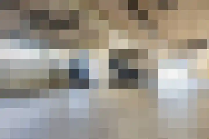 Karper 43 Amersfoort thumbnail 38