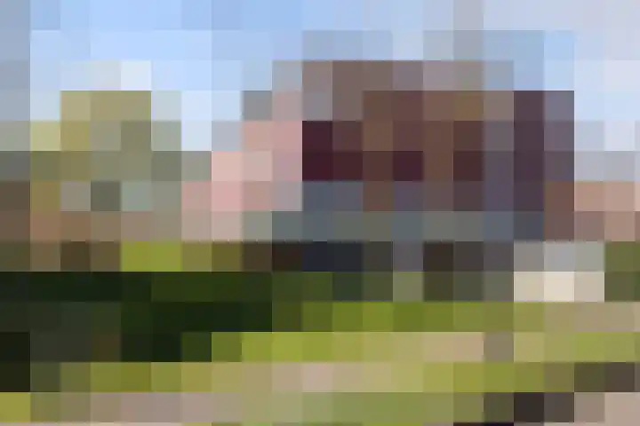 Karper 43 Amersfoort thumbnail 39