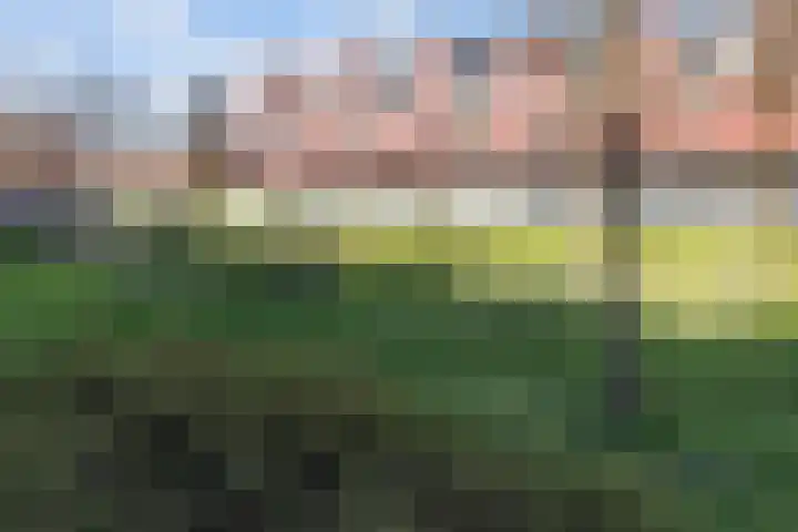 Karper 43 Amersfoort thumbnail 40