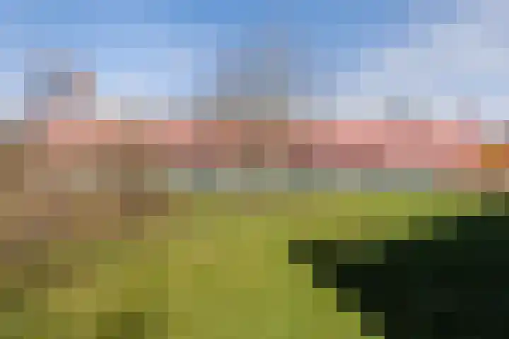 Karper 43 Amersfoort thumbnail 41