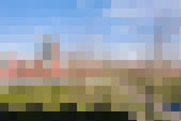 Karper 43 Amersfoort thumbnail 42