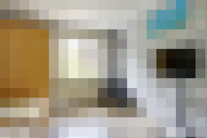 Karper 5 Zuid-Scharwoude thumbnail 17