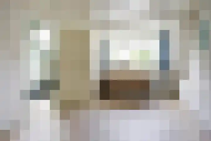 Karper 5 Zuid-Scharwoude thumbnail 26