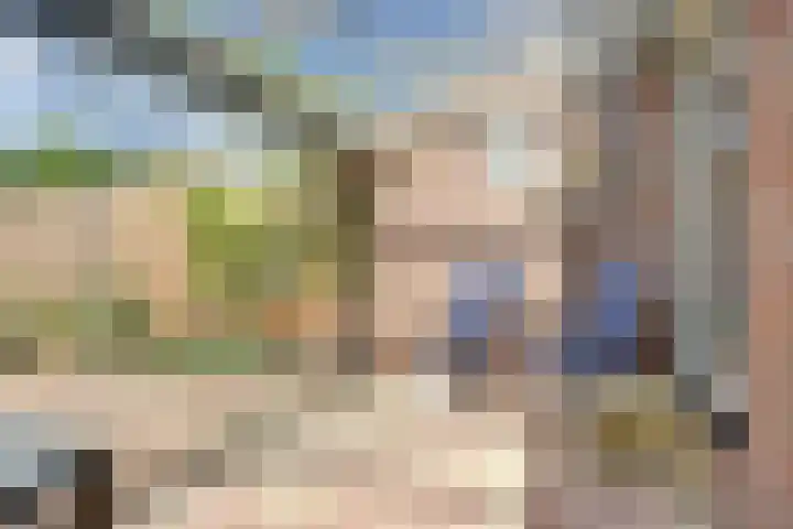 Karper 5 Zuid-Scharwoude thumbnail 29