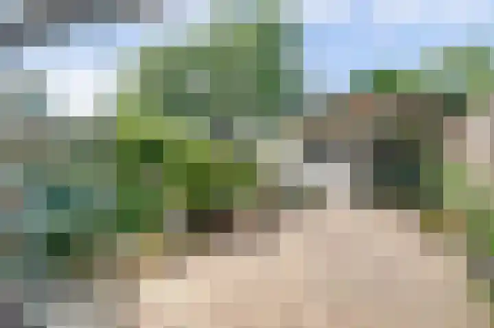 Karper 5 Zuid-Scharwoude thumbnail 30