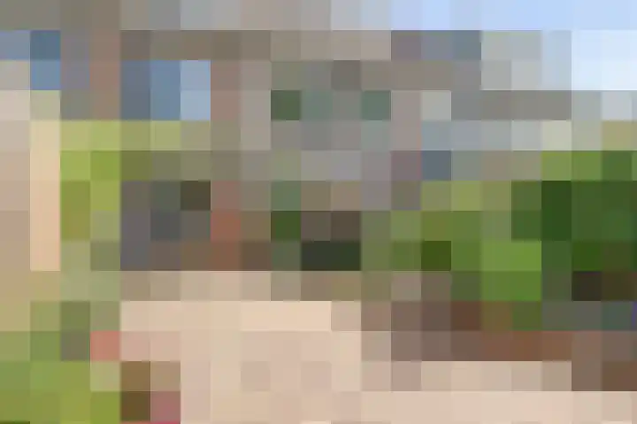 Karper 5 Zuid-Scharwoude thumbnail 31