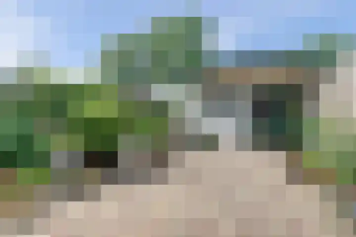 Karper 5 Zuid-Scharwoude thumbnail 32