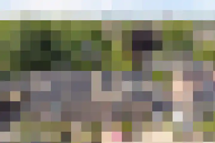 Karper 5 Zuid-Scharwoude thumbnail 34