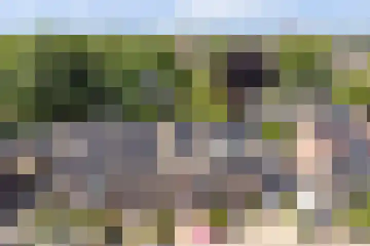 Karper 5 Zuid-Scharwoude thumbnail 35