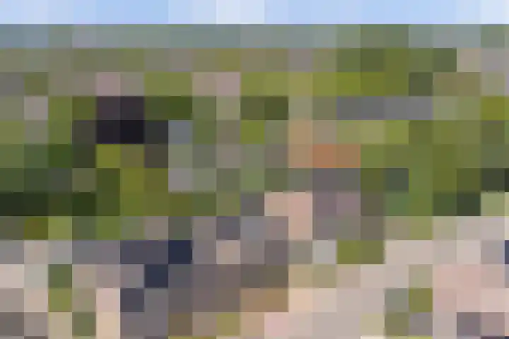 Karper 5 Zuid-Scharwoude thumbnail 36