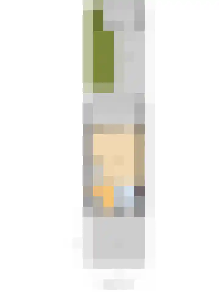 Karper 5 Zuid-Scharwoude thumbnail 42